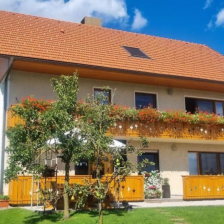 Apartma Ana In Manca Begunje Exterior foto