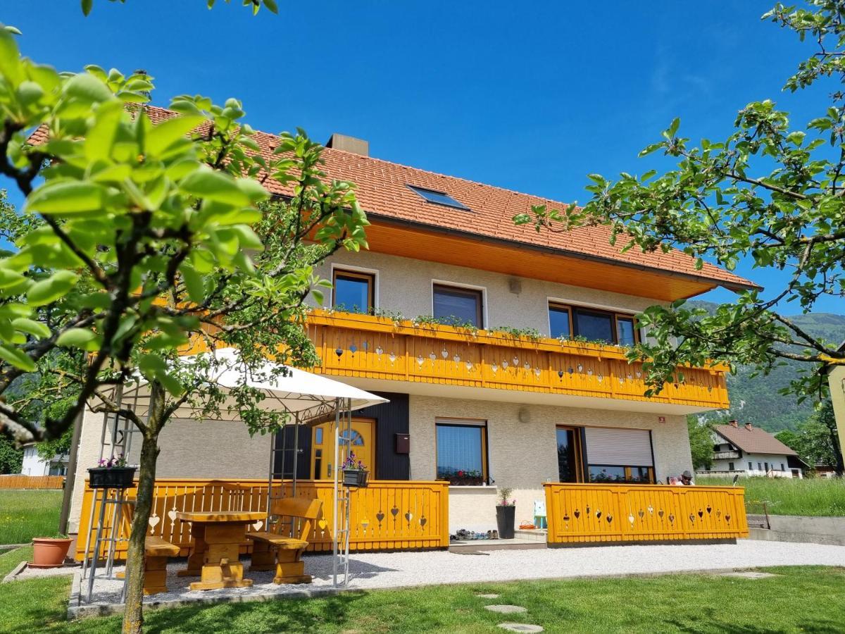Apartma Ana In Manca Begunje Exterior foto